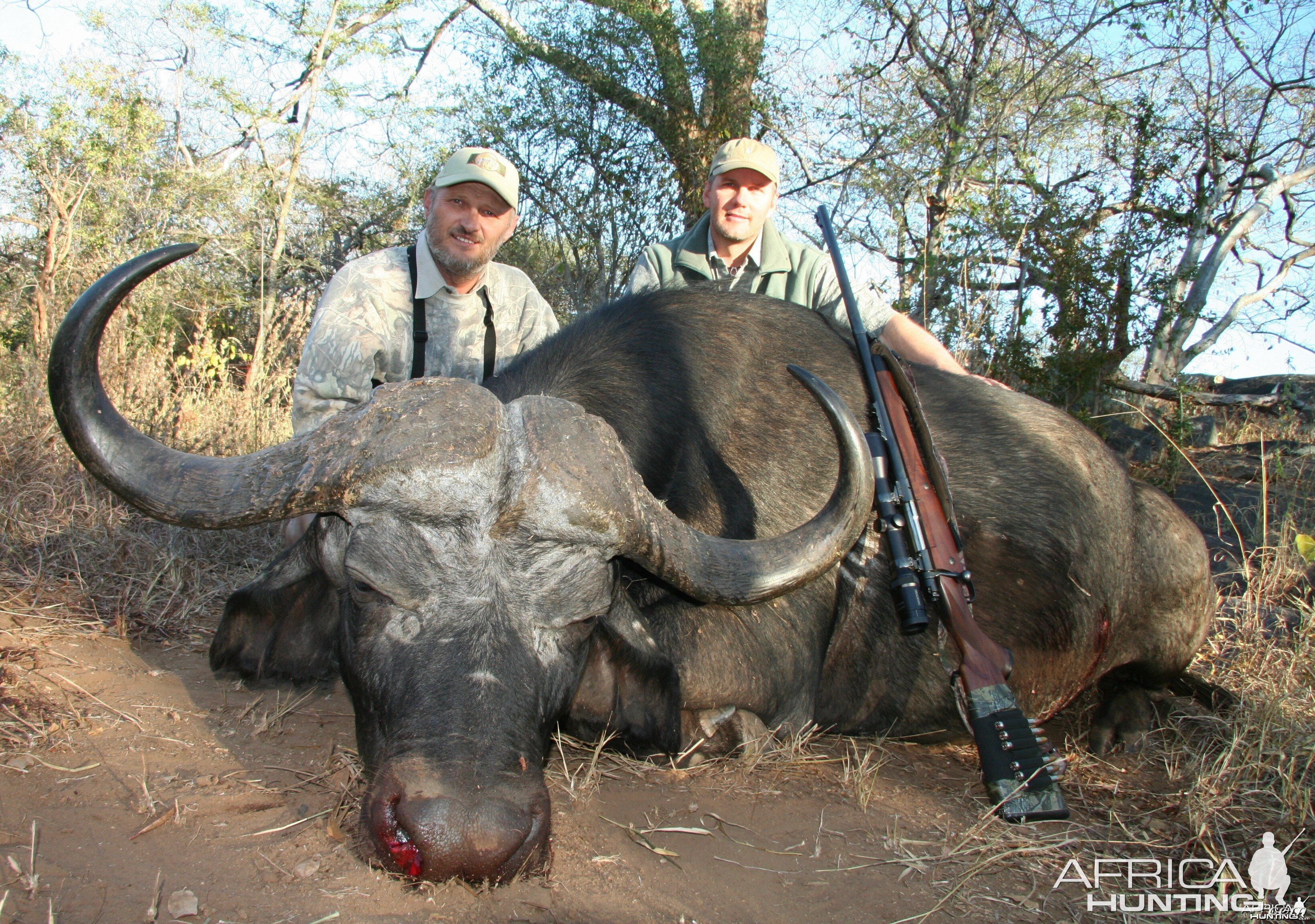 Hunting Buffalo