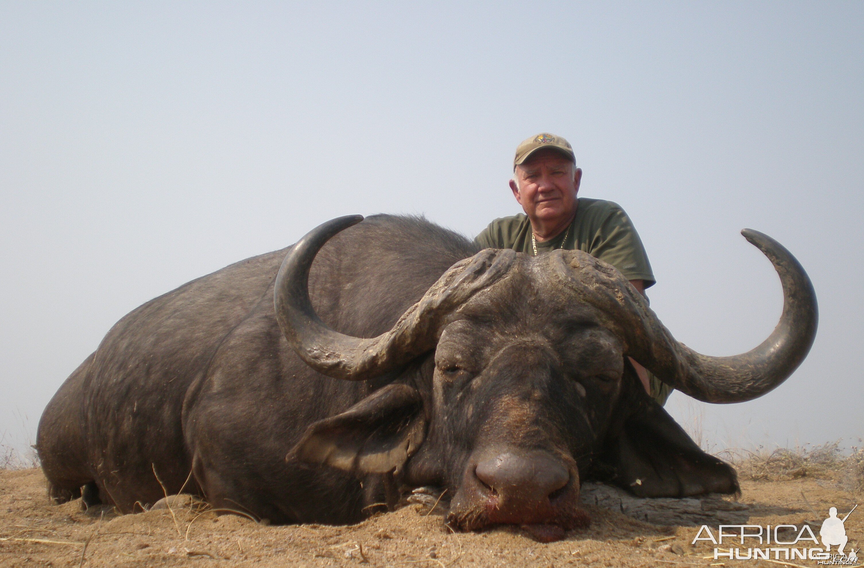 Hunting Buffalo