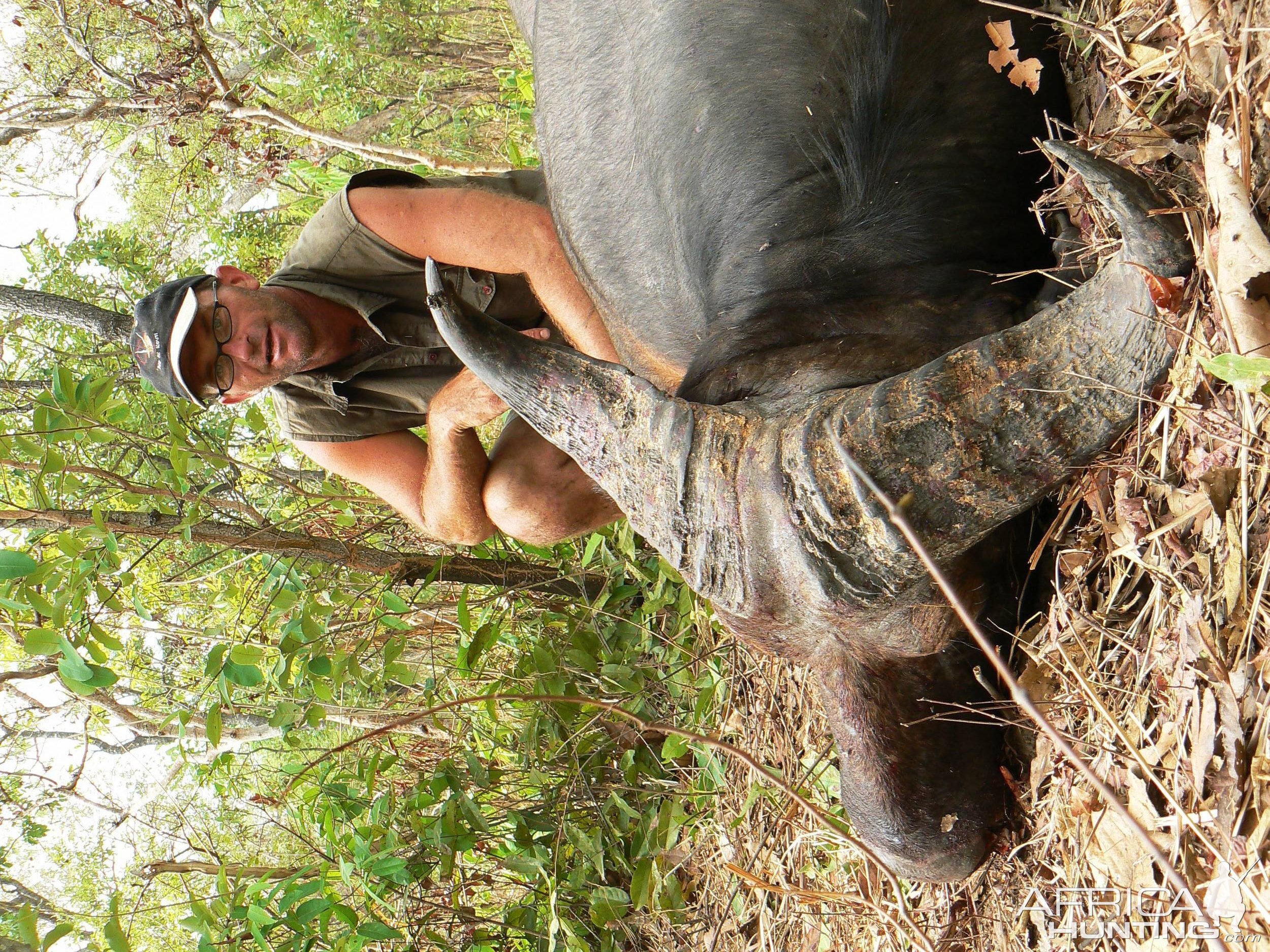 Hunting Buffalo