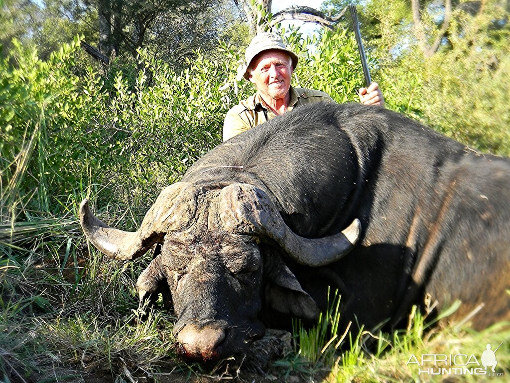 Hunting Buffalo