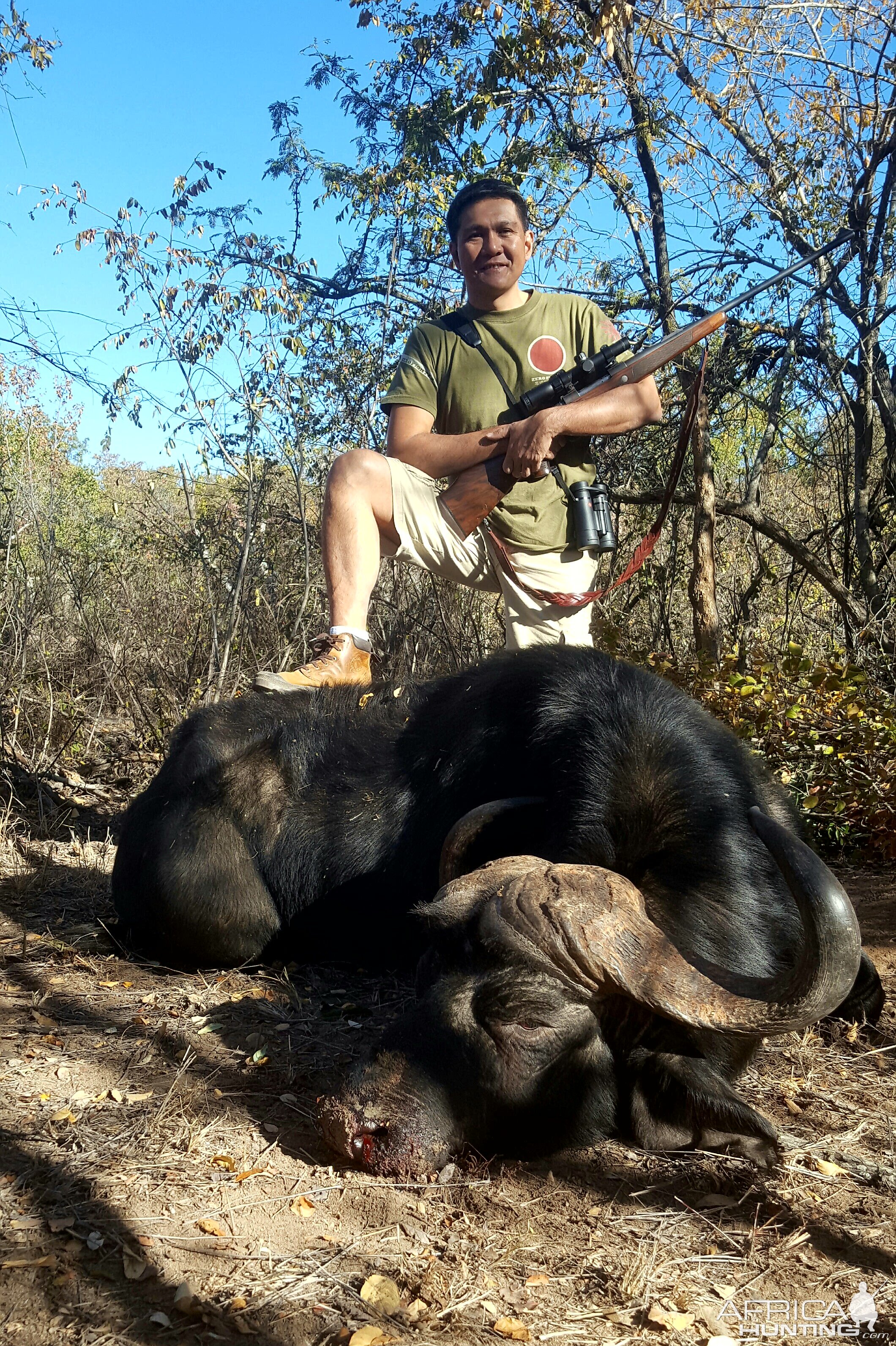 Hunting Buffalo