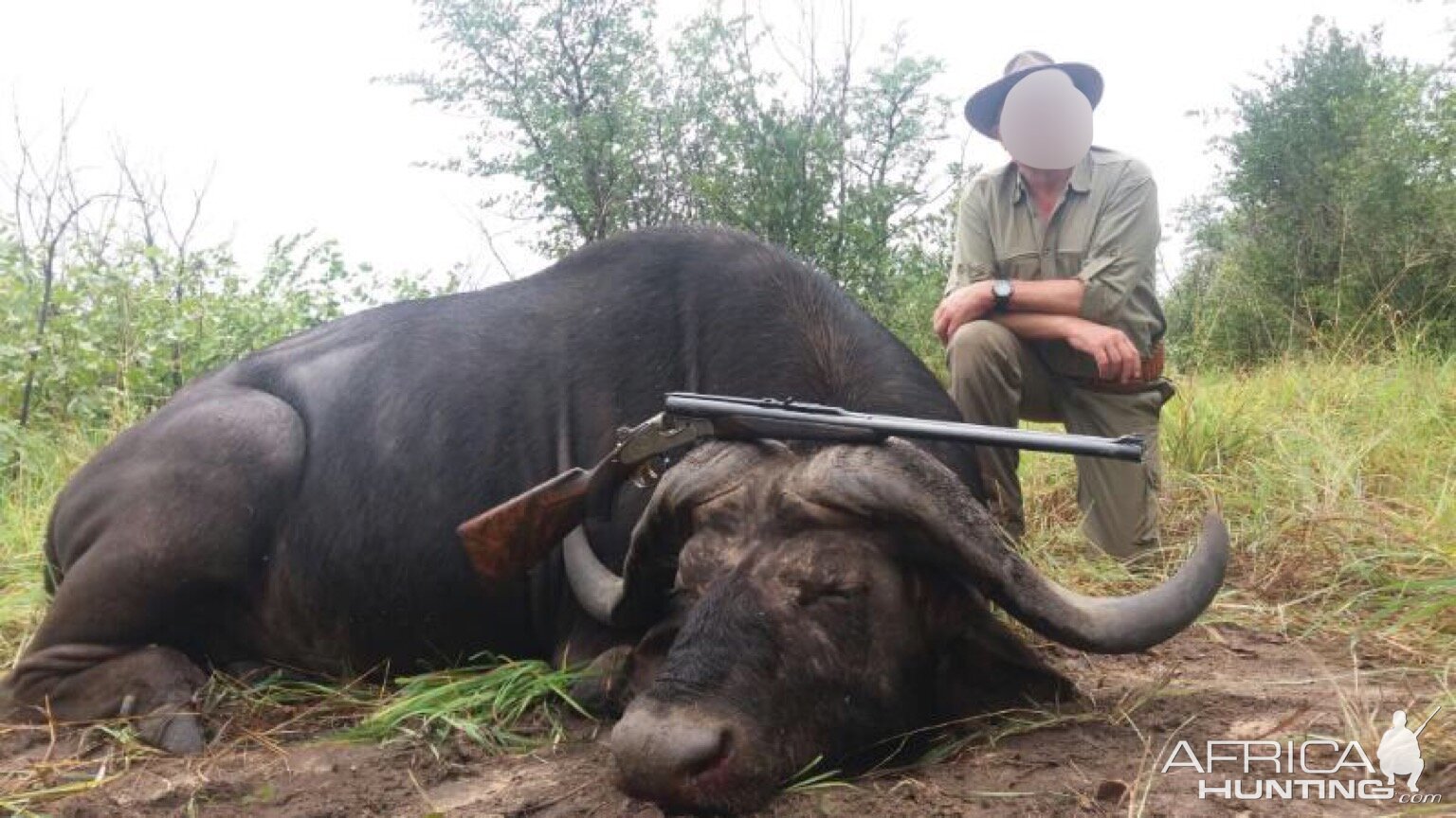 Hunting Buffalo