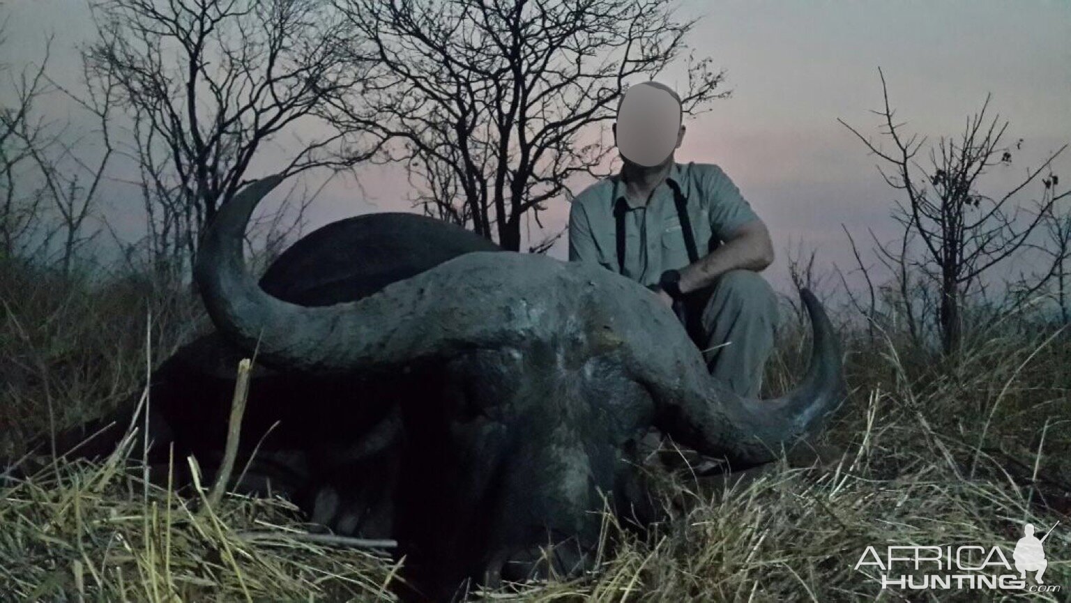 Hunting Buffalo