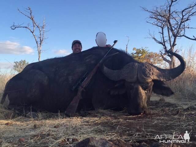 Hunting Buffalo