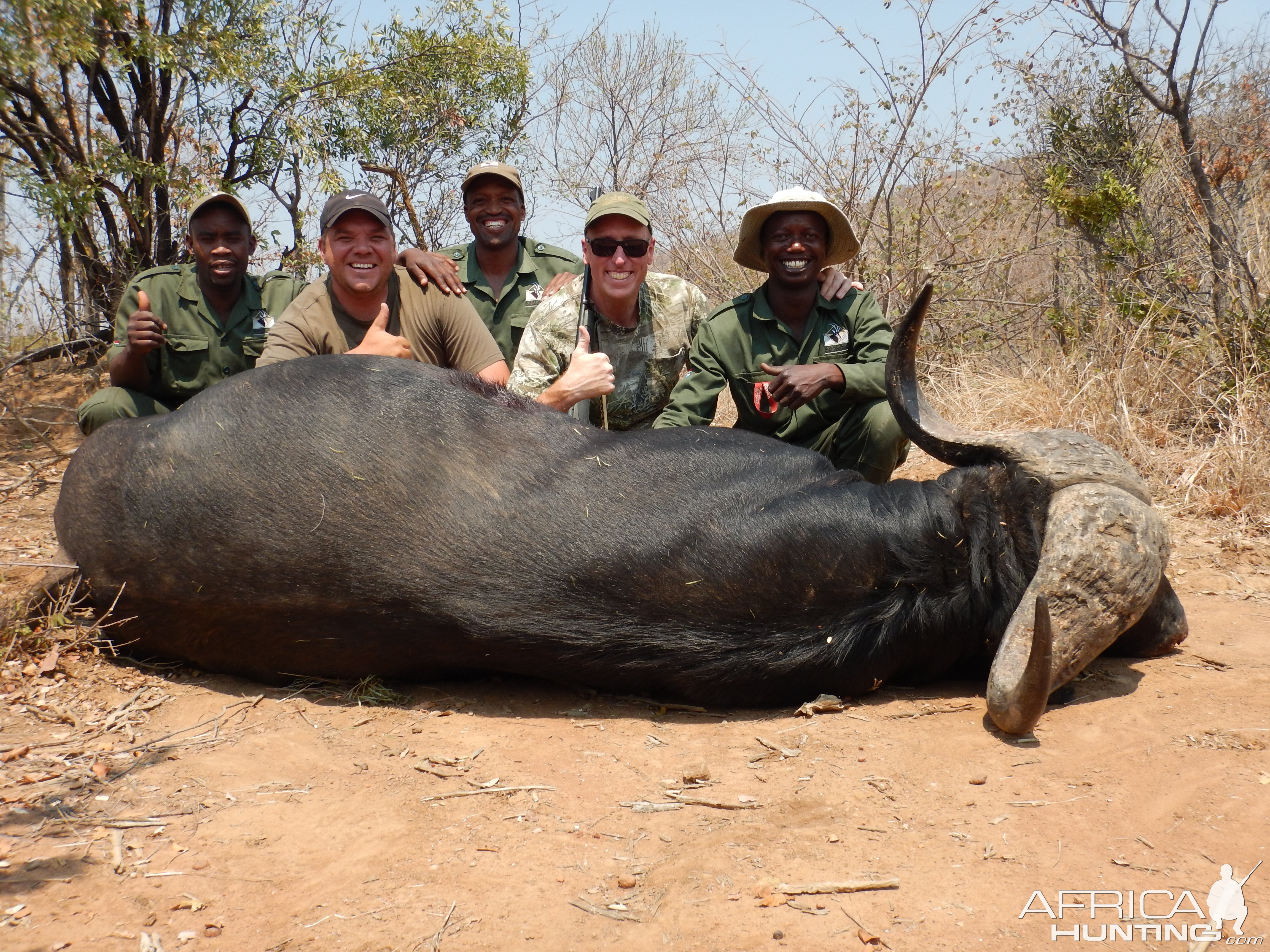 Hunting Buffalo