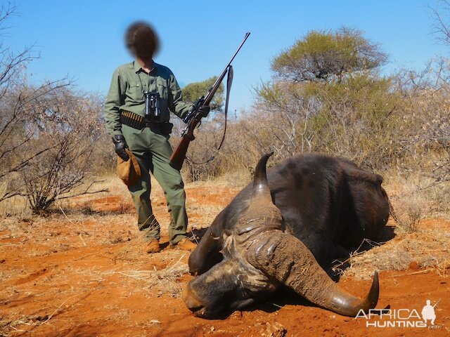 Hunting Buffalo