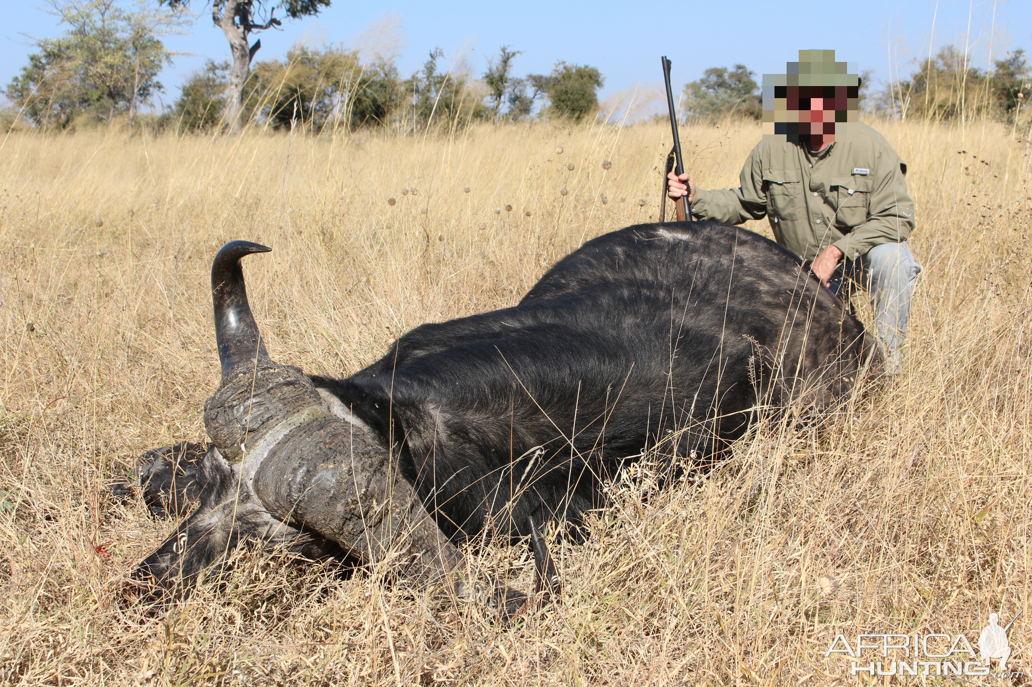 Hunting Buffalo