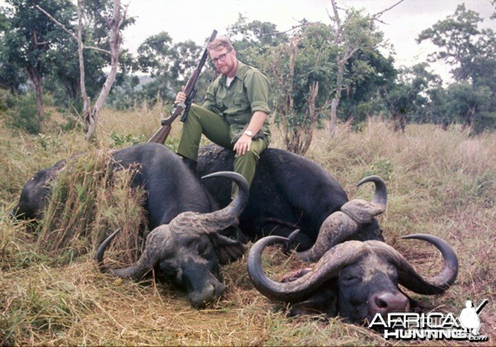 Hunting Buffalo