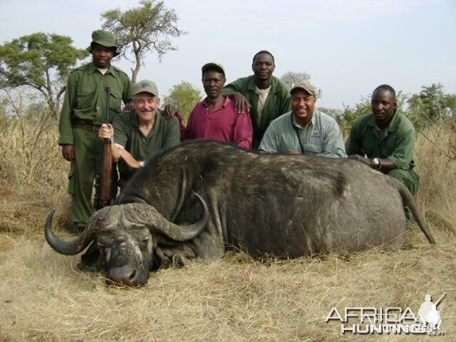 Hunting Buffalo