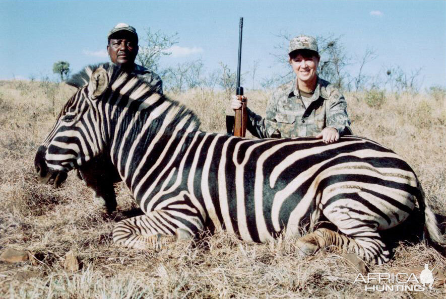 Hunting Burchell Zebra with Wintershoek Johnny Vivier Safaris in SA