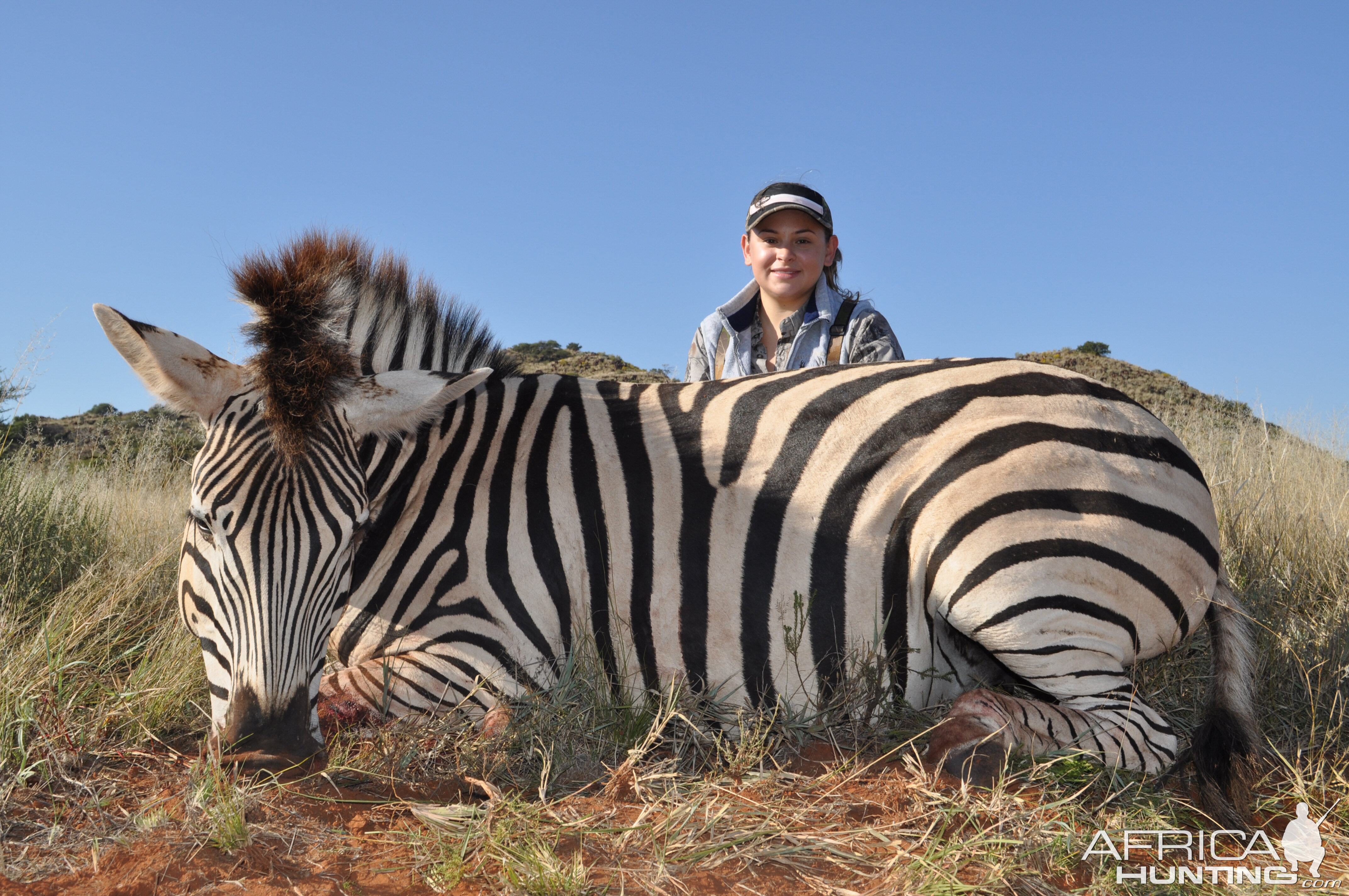 Hunting Burchell Zebra with Wintershoek Johnny Vivier Safaris in SA