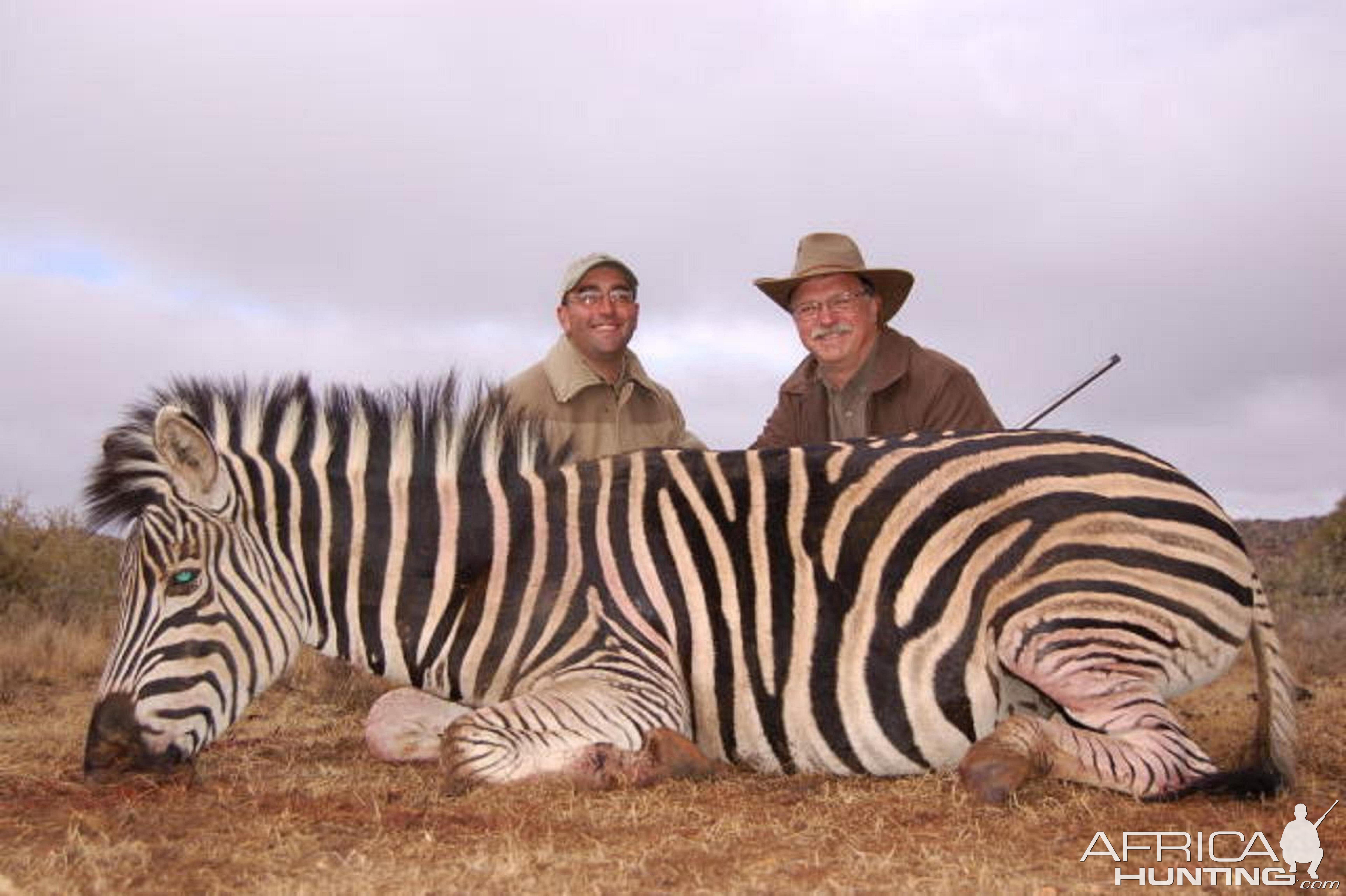 Hunting Burchell Zebra with Wintershoek Johnny Vivier Safaris in SA