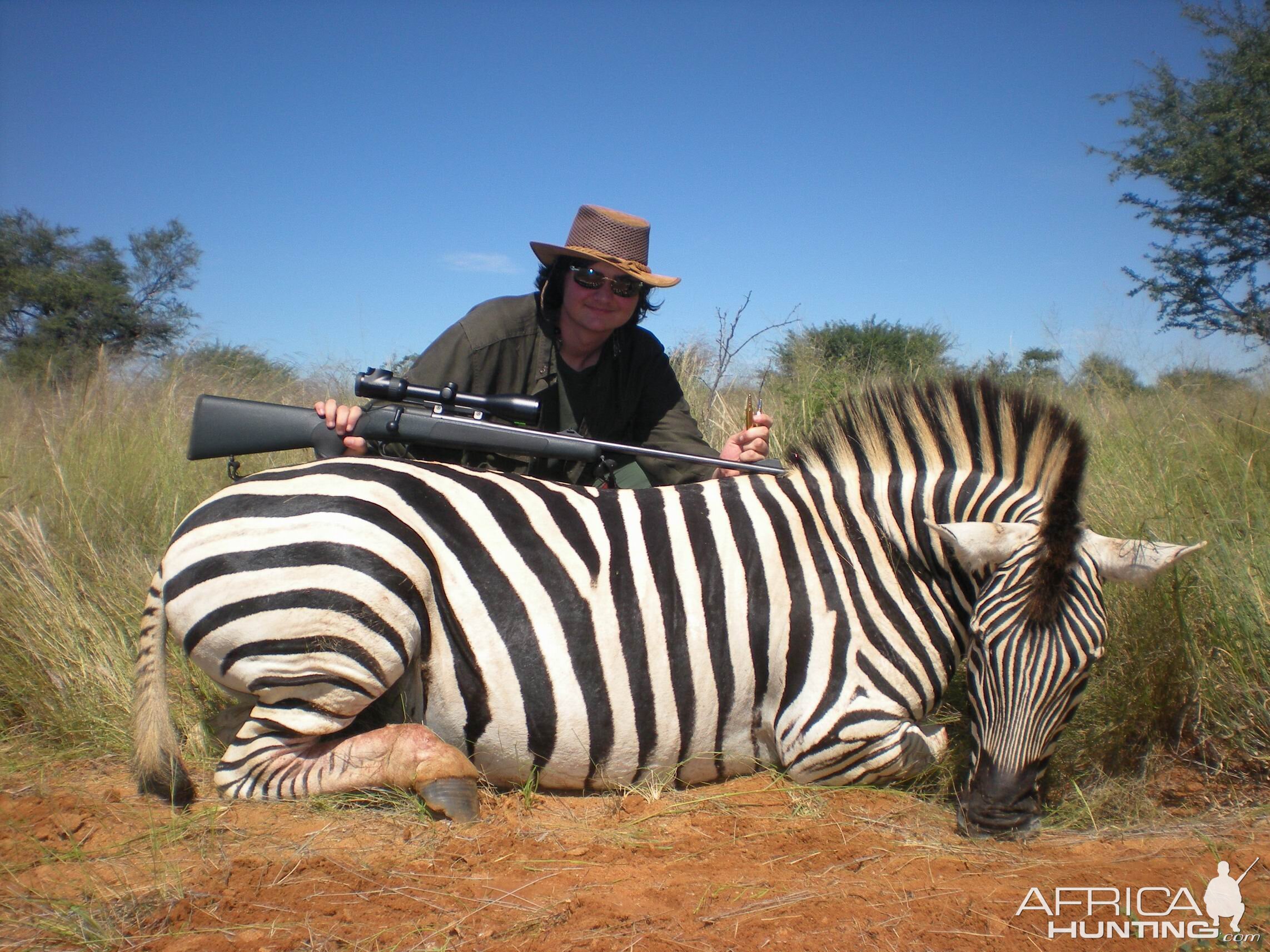 Hunting Burchell Zebra