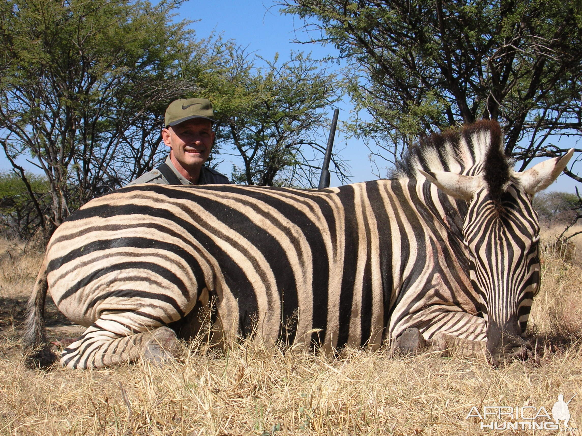 Hunting Burchell's Plain Zebra in Namibia