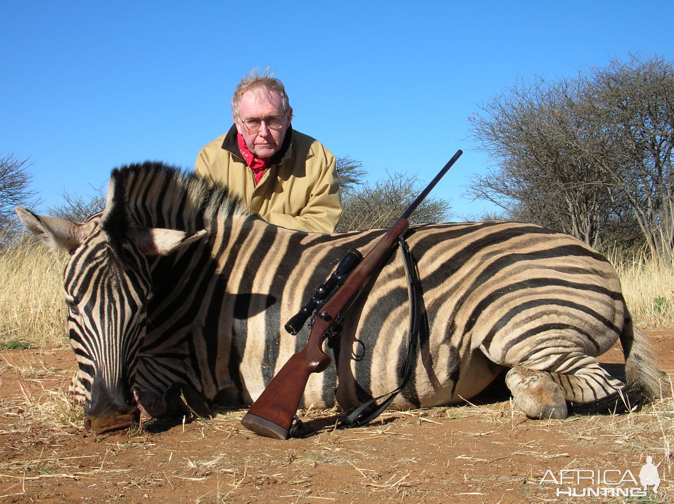 Hunting Burchell's Plain Zebra in Namibia