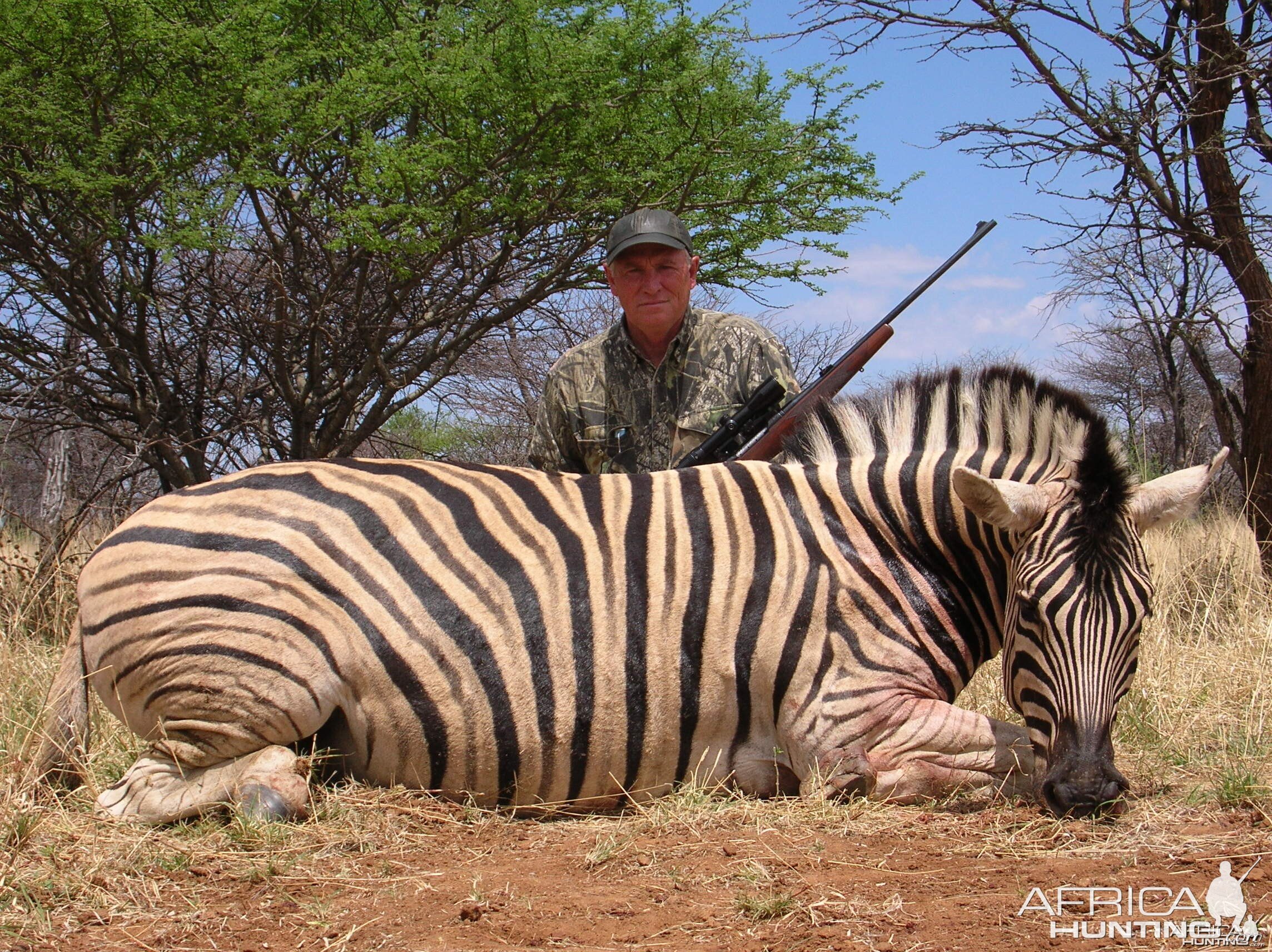 Hunting Burchell's Plain Zebra in Namibia