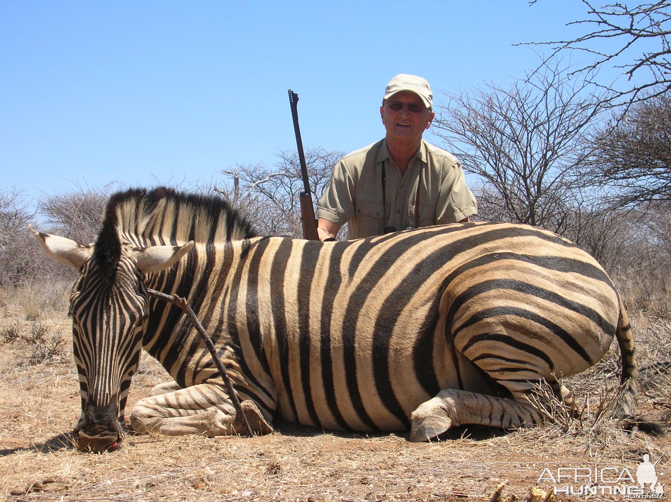 Hunting Burchell's Plain Zebra in Namibia