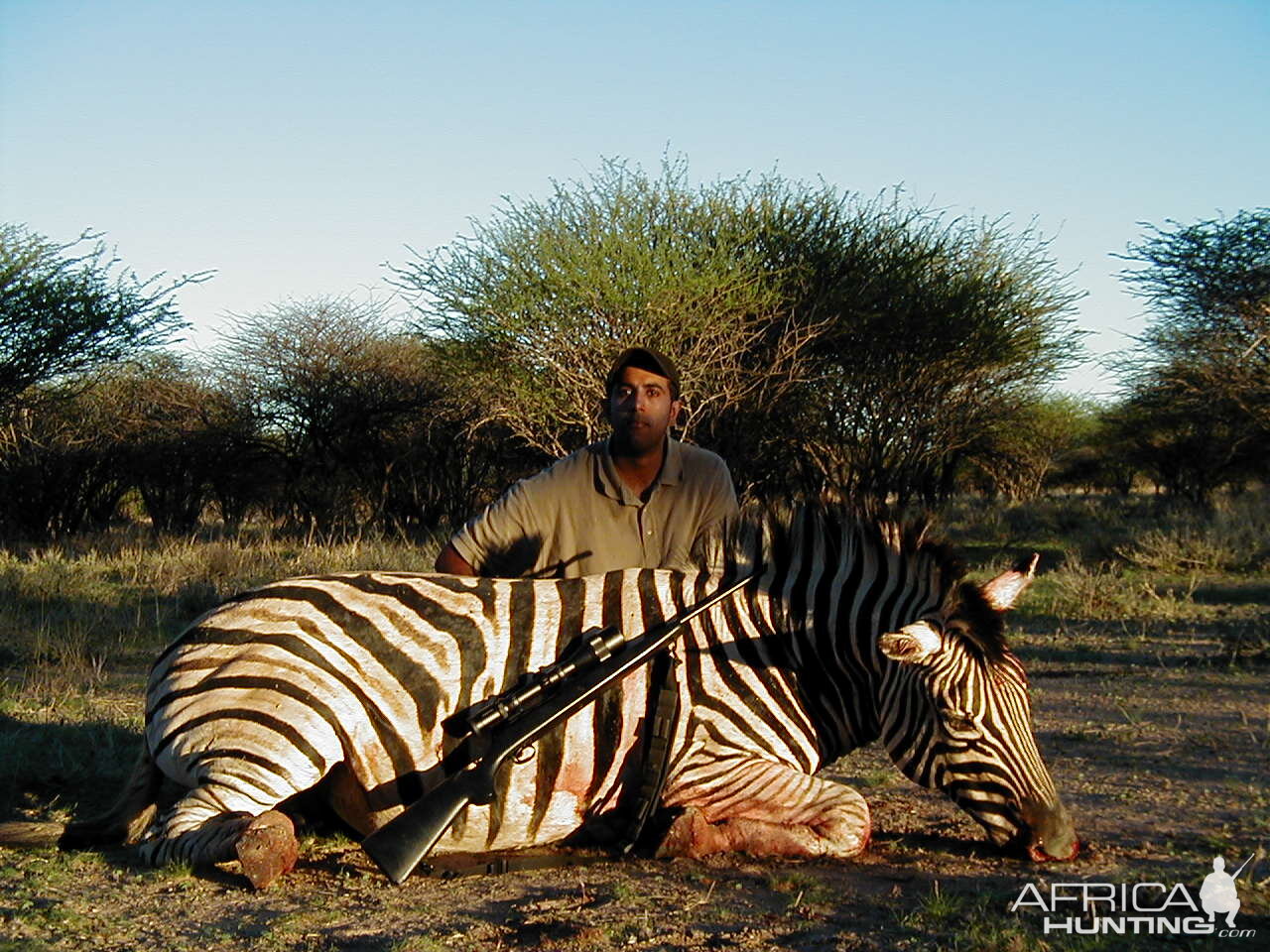 Hunting Burchell's Plain Zebra in Namibia