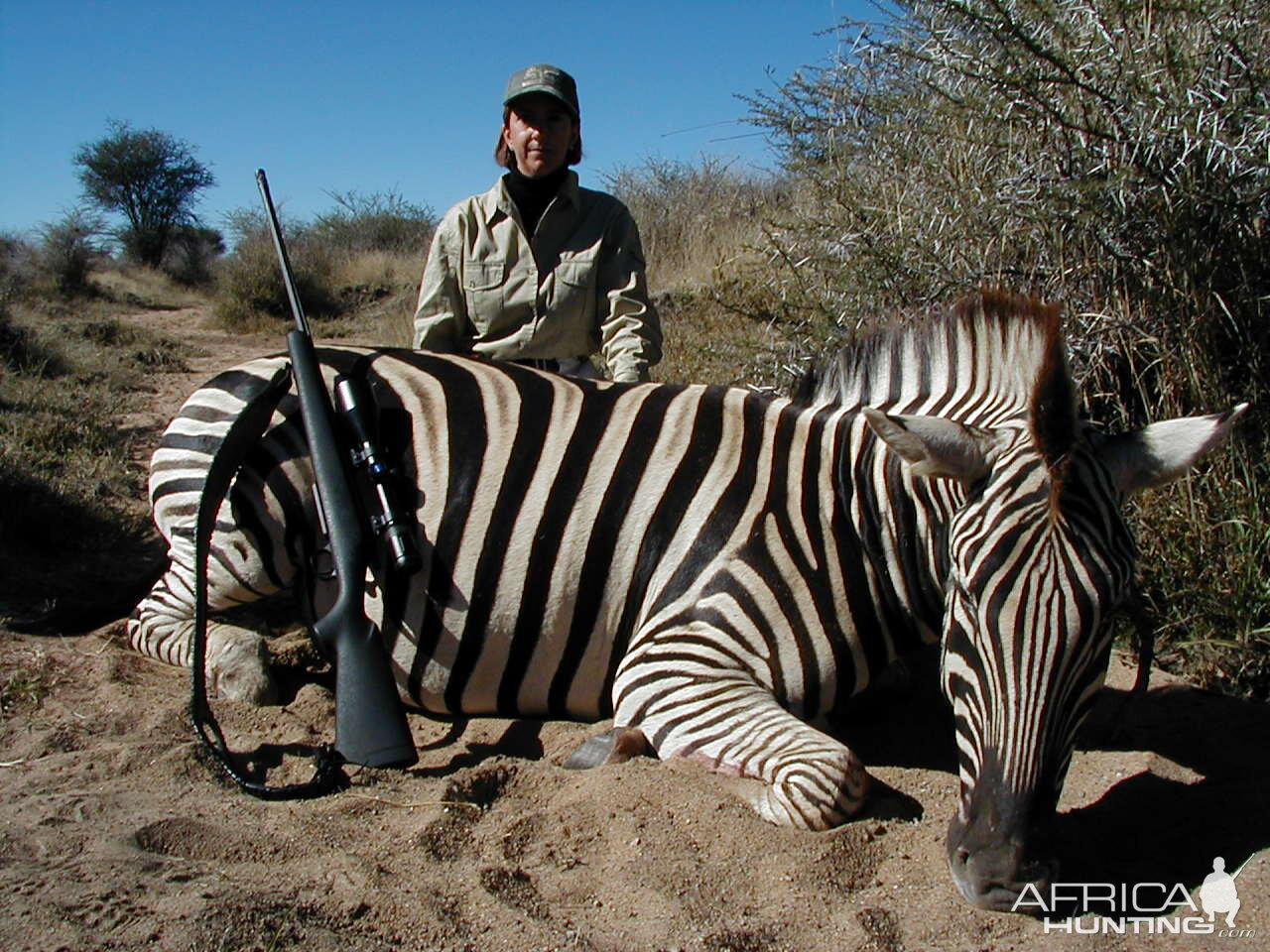 Hunting Burchell's Plain Zebra in Namibia