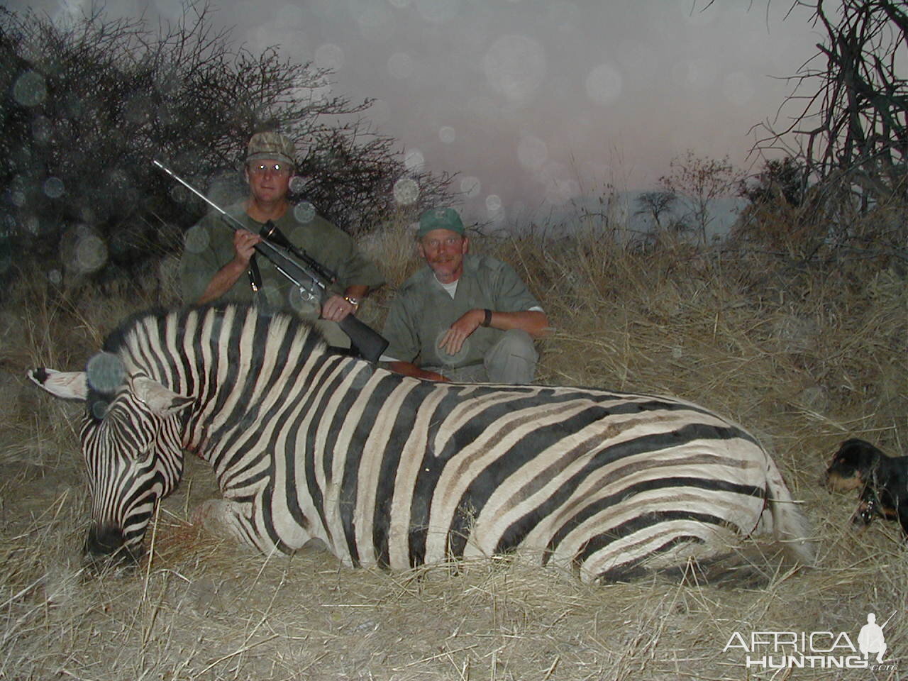 Hunting Burchell's Plain Zebra in Namibia