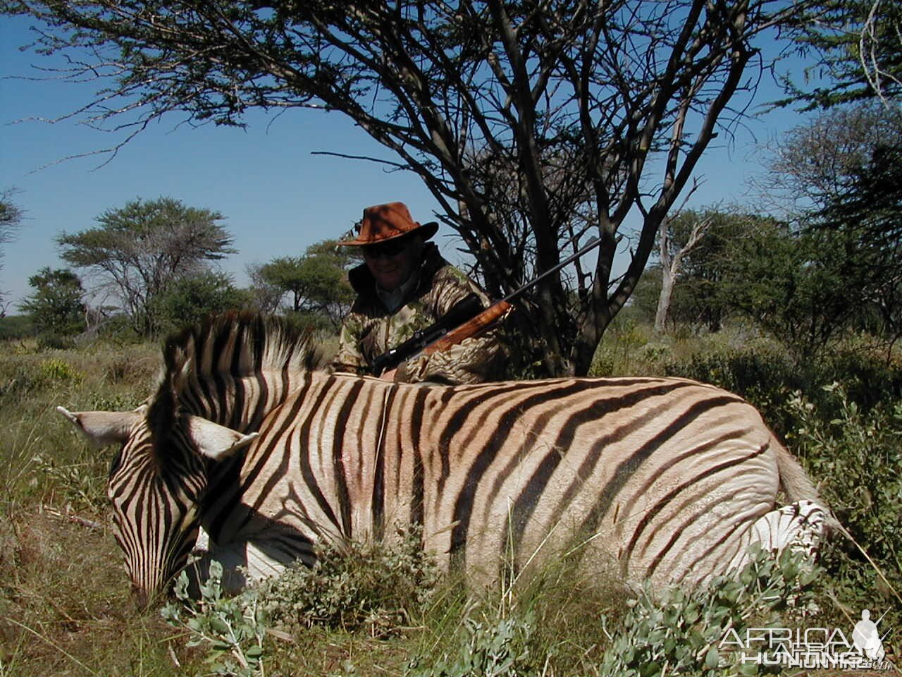 Hunting Burchell's Plain Zebra in Namibia