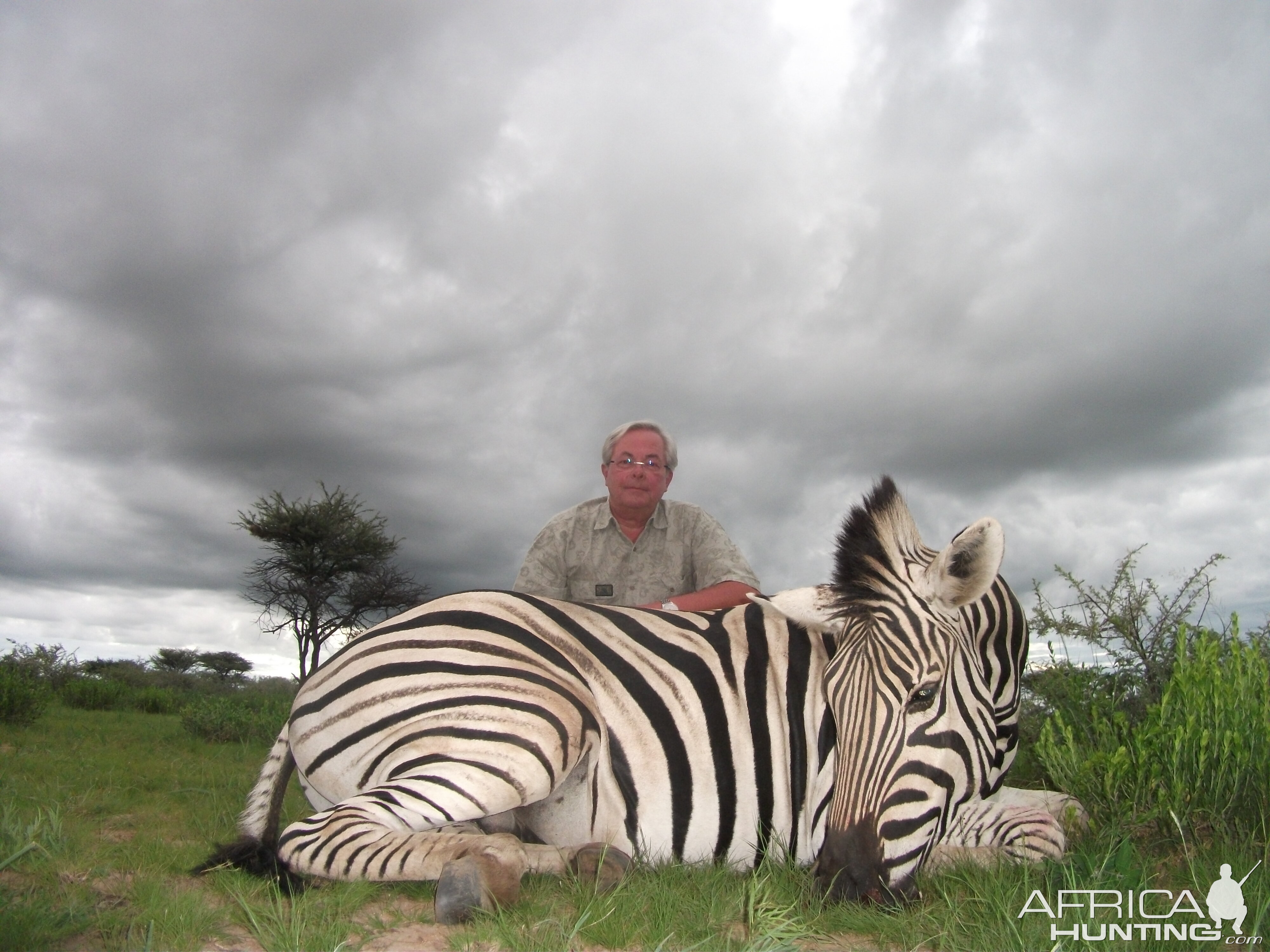 Hunting Burchell's Plain Zebra in Namibia