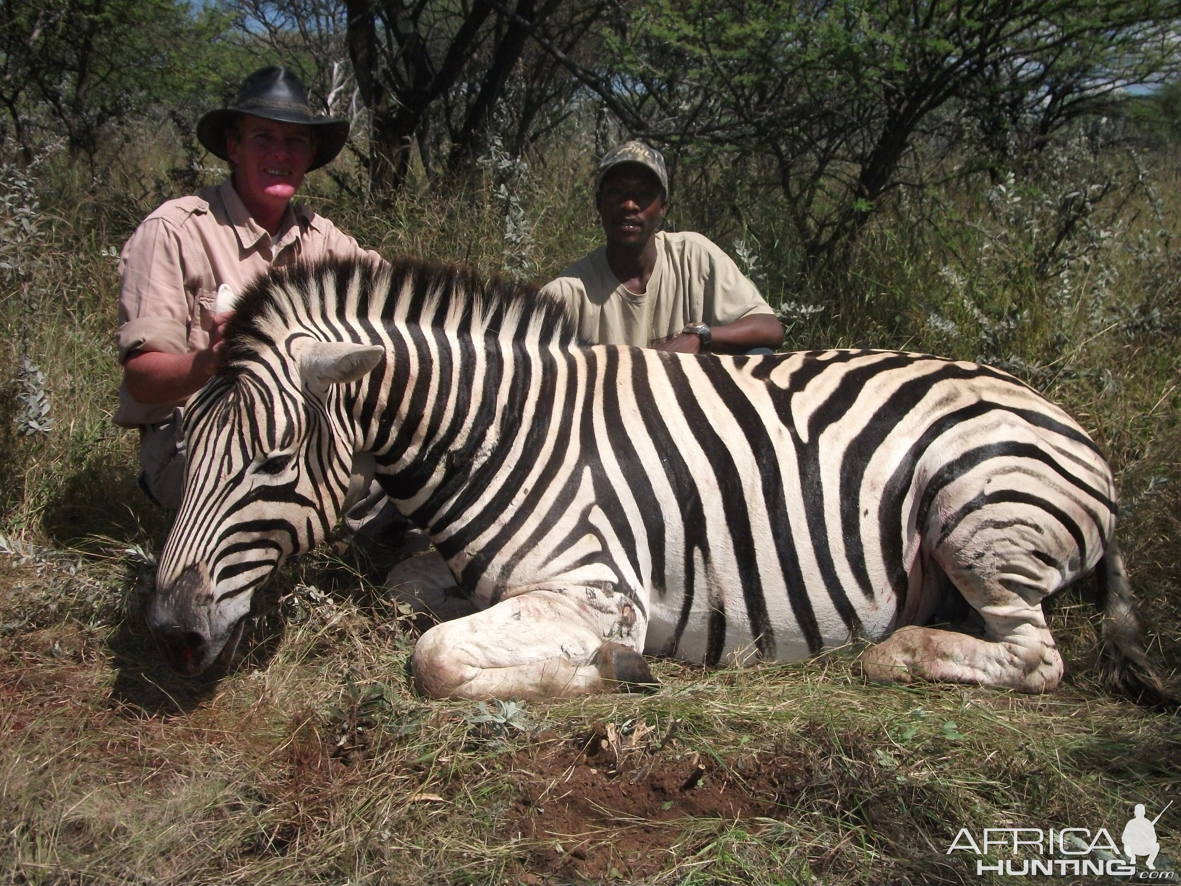 Hunting Burchell's Plain Zebra in Namibia