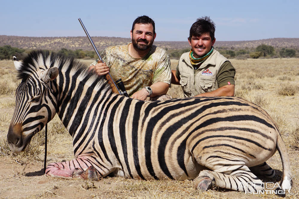 Hunting Burchell's Plain Zebra in Namibia