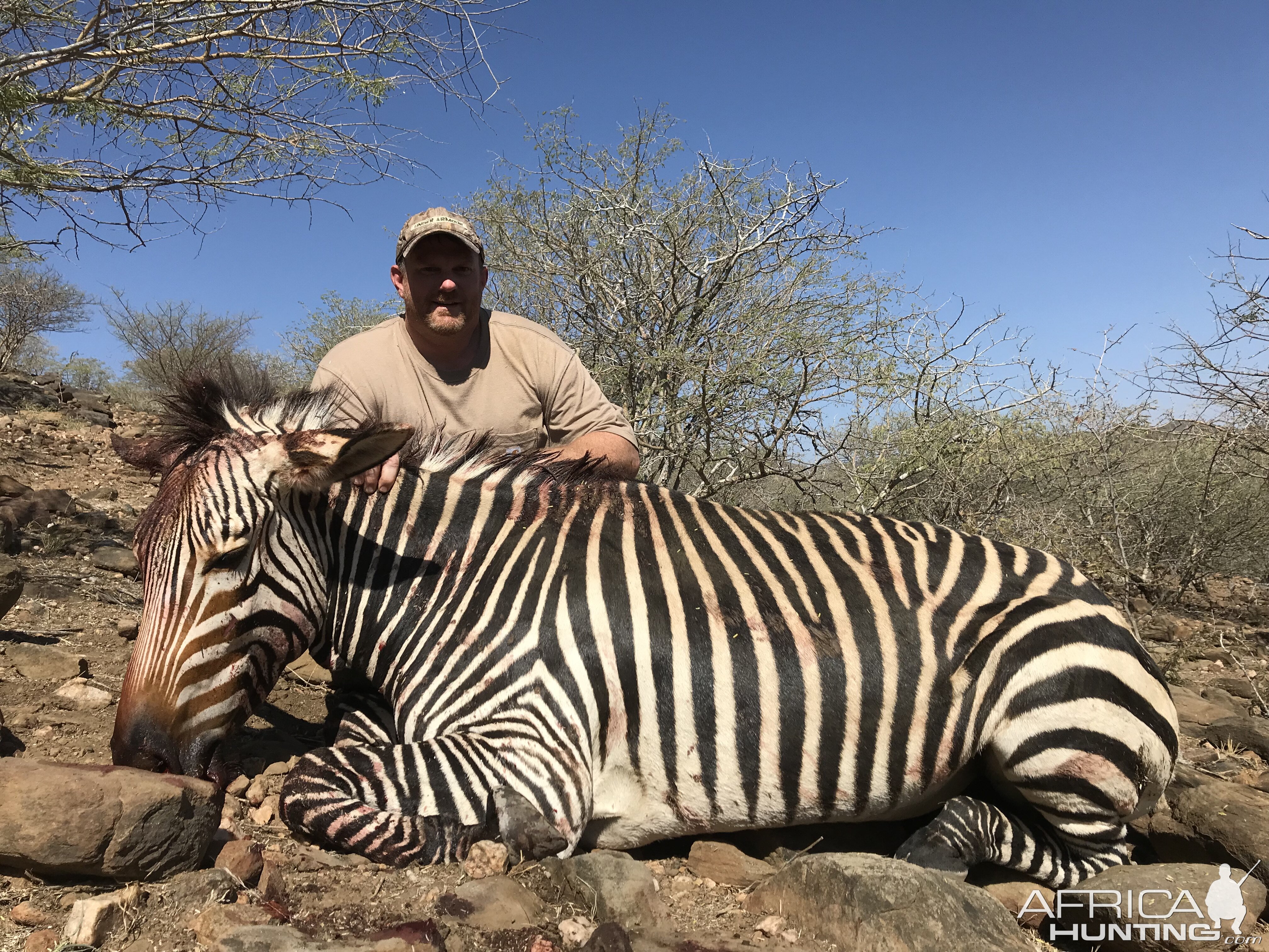 Hunting Burchell's Plain Zebra in Namibia