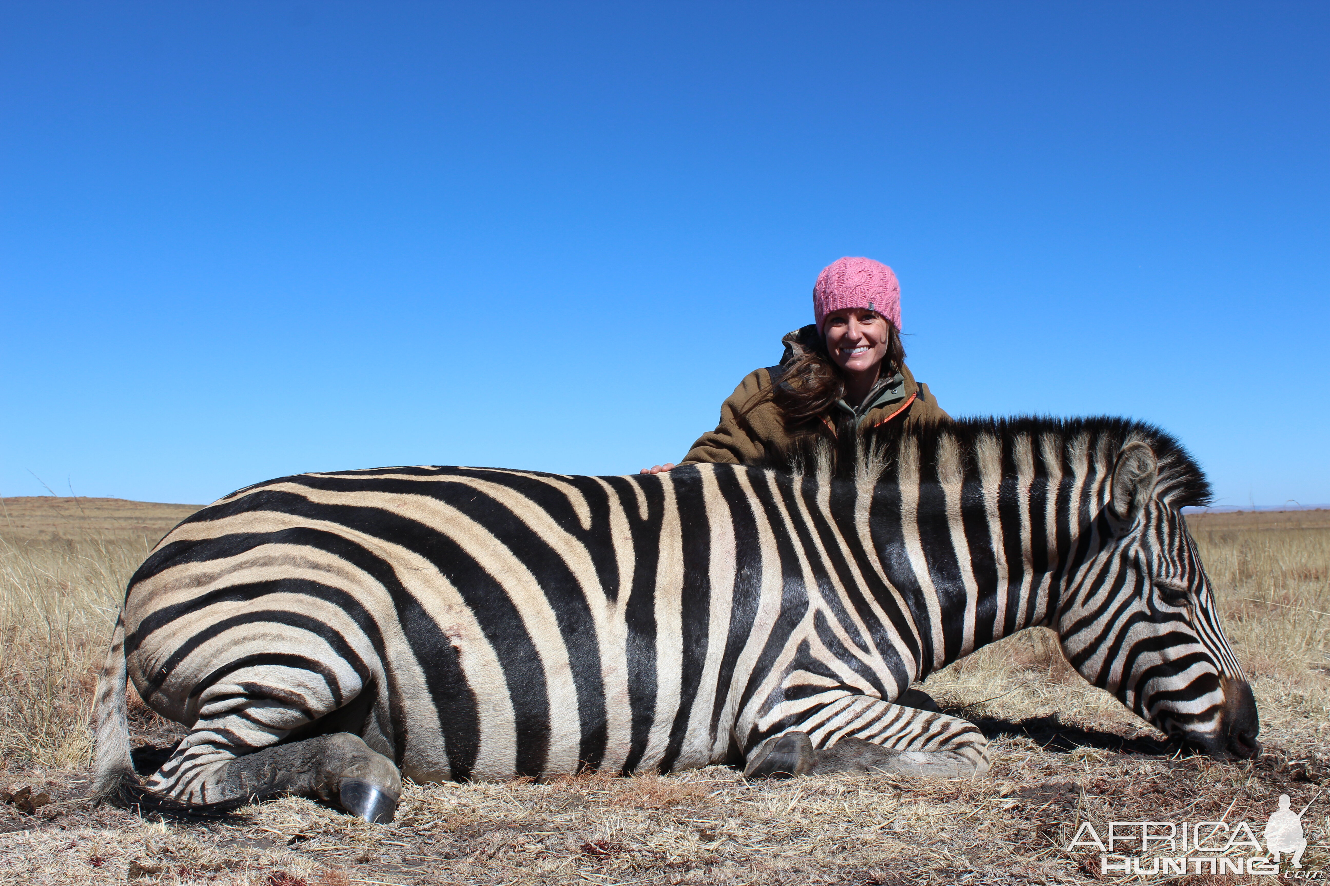 Hunting Burchell's Plain Zebra in South Africa