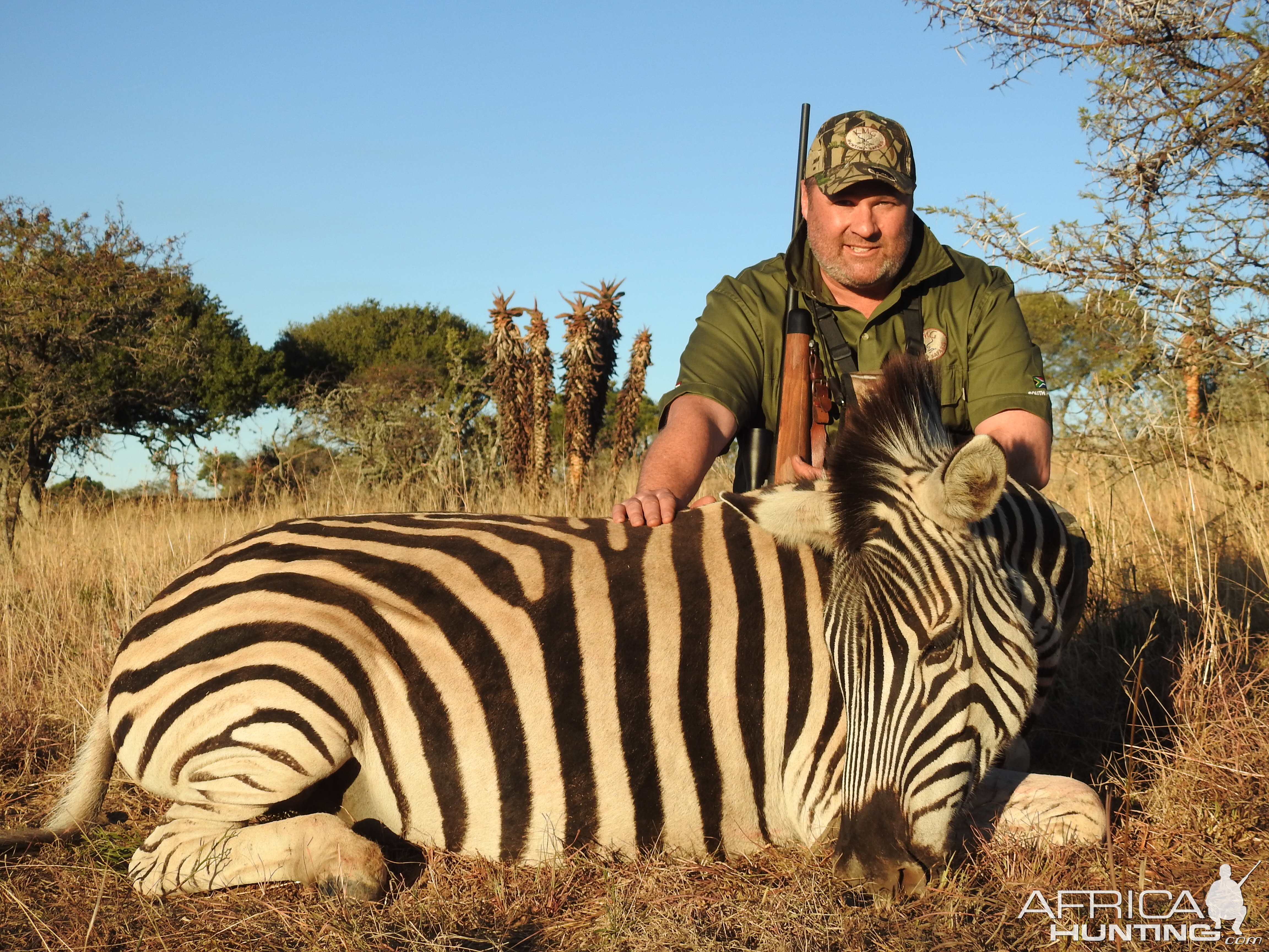 Hunting Burchell's Plain Zebra in South Africa