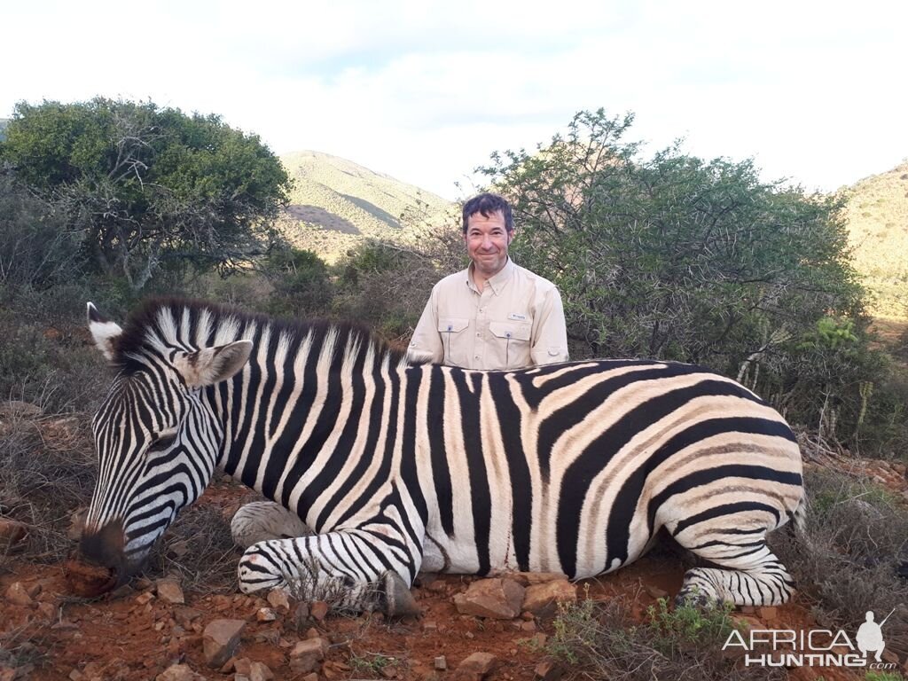 Hunting Burchell's Plain Zebra in South Africa