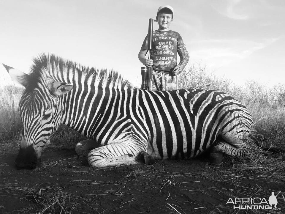 Hunting Burchell's Plain Zebra in South Africa