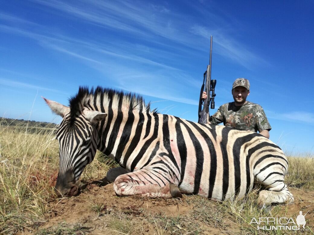 Hunting Burchell's Plain Zebra in South Africa