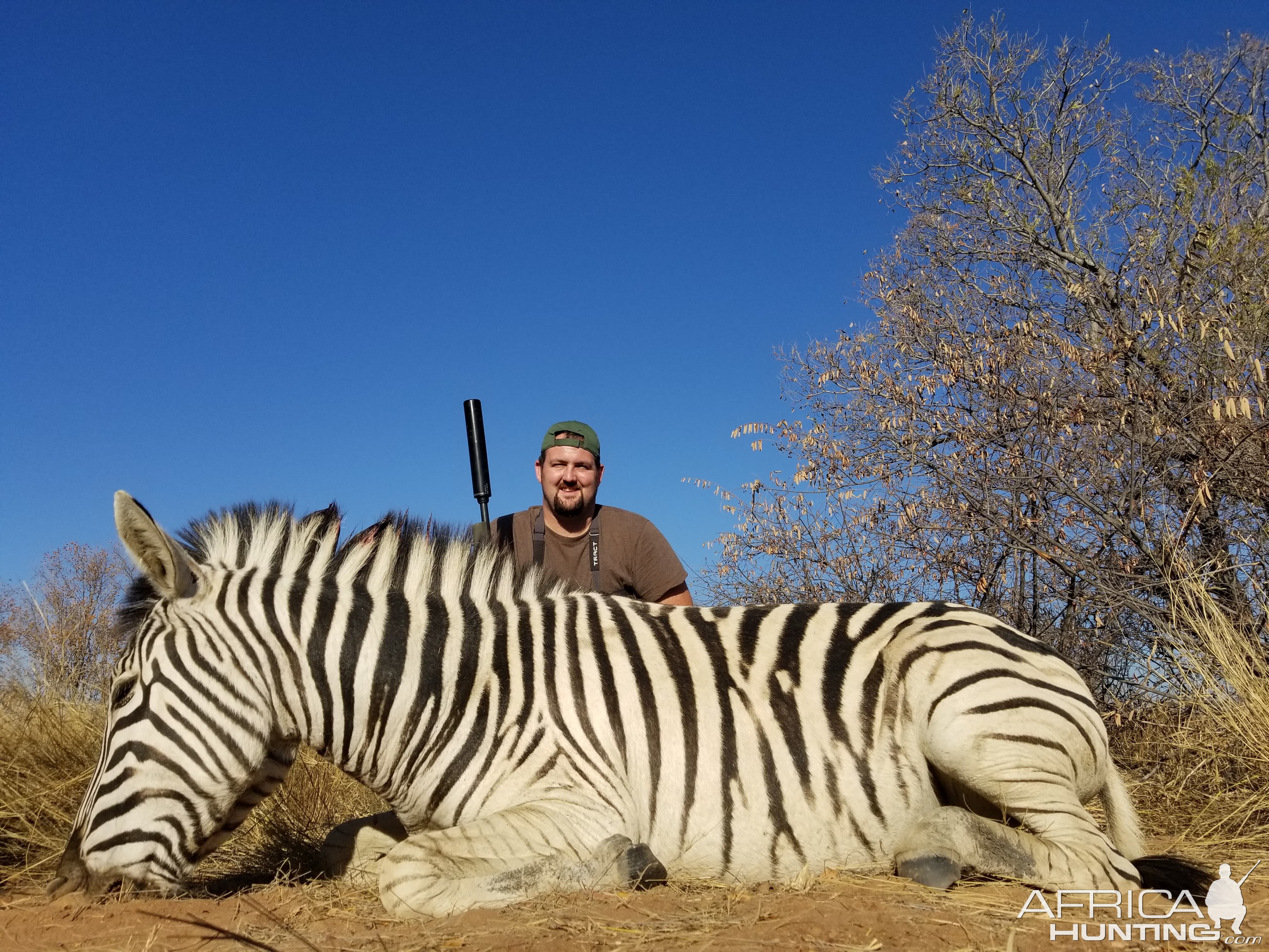 Hunting Burchell's Plain Zebra in South Africa