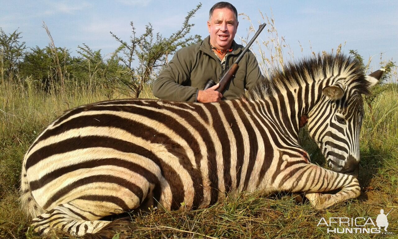 Hunting Burchell's Plain Zebra South Africa