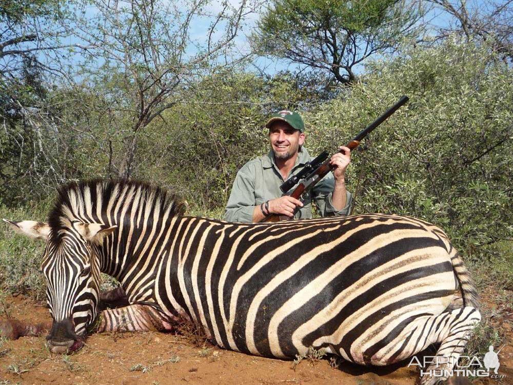 Hunting Burchell's Plain Zebra South Africa