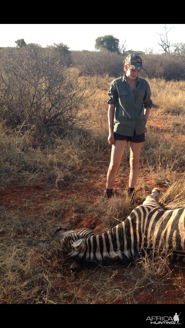 Hunting Burchell's Plain Zebra