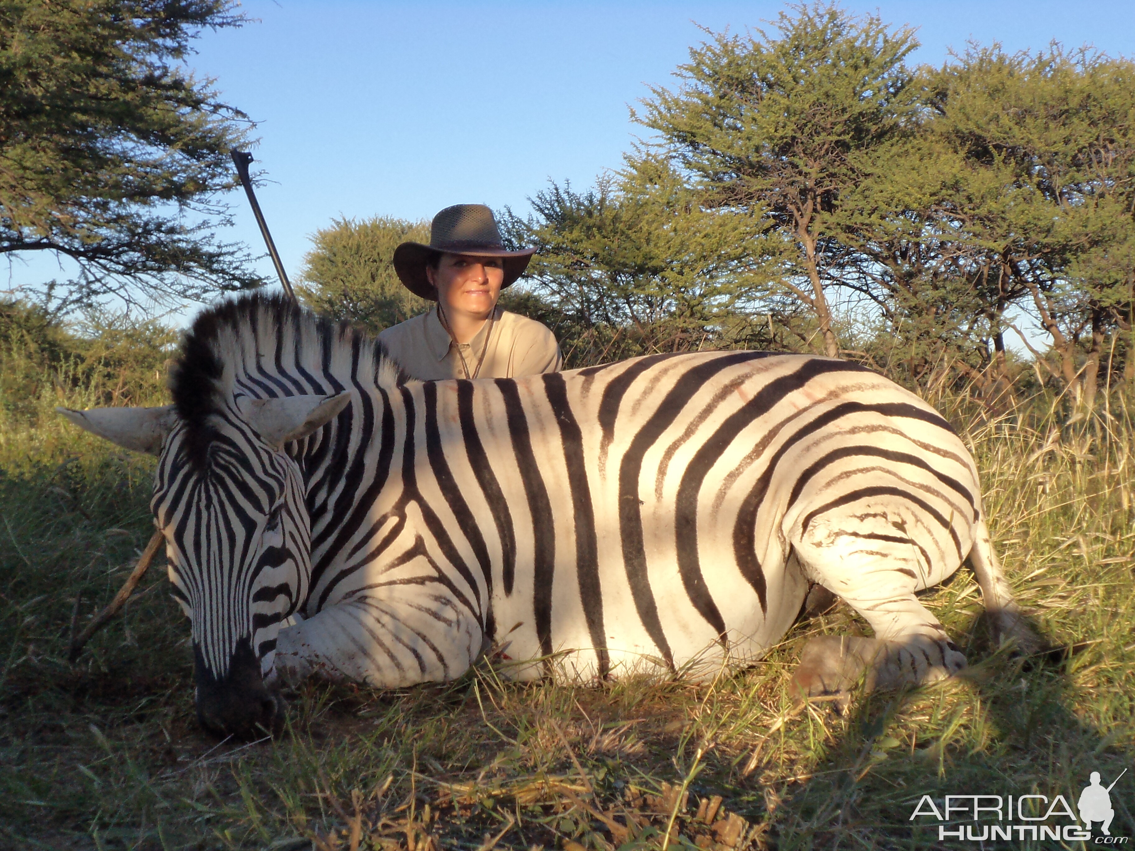 Hunting Burchell's Zebra in Namibia