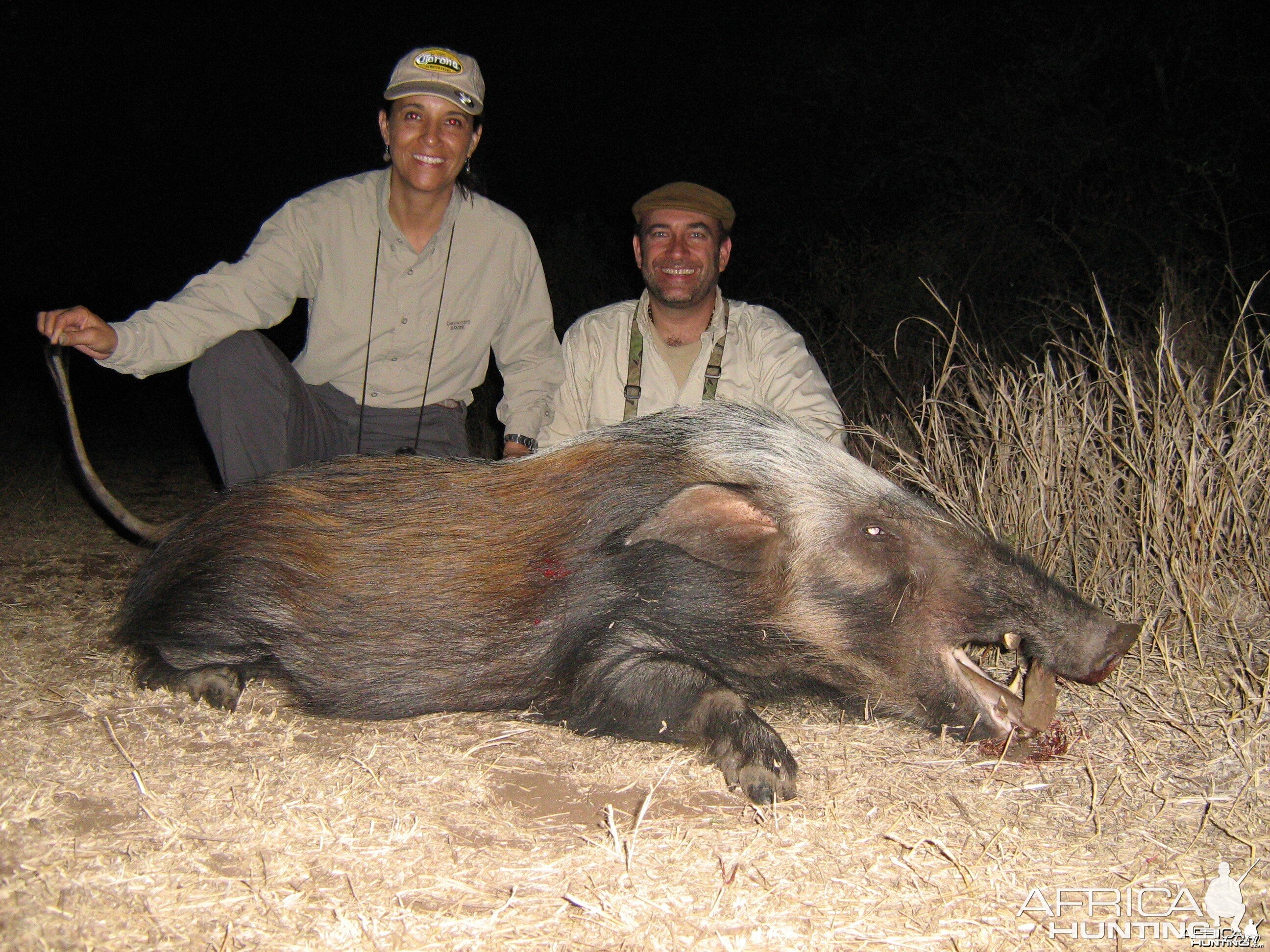 Hunting Bush Pig with Wintershoek Johnny Vivier Safaris in SA