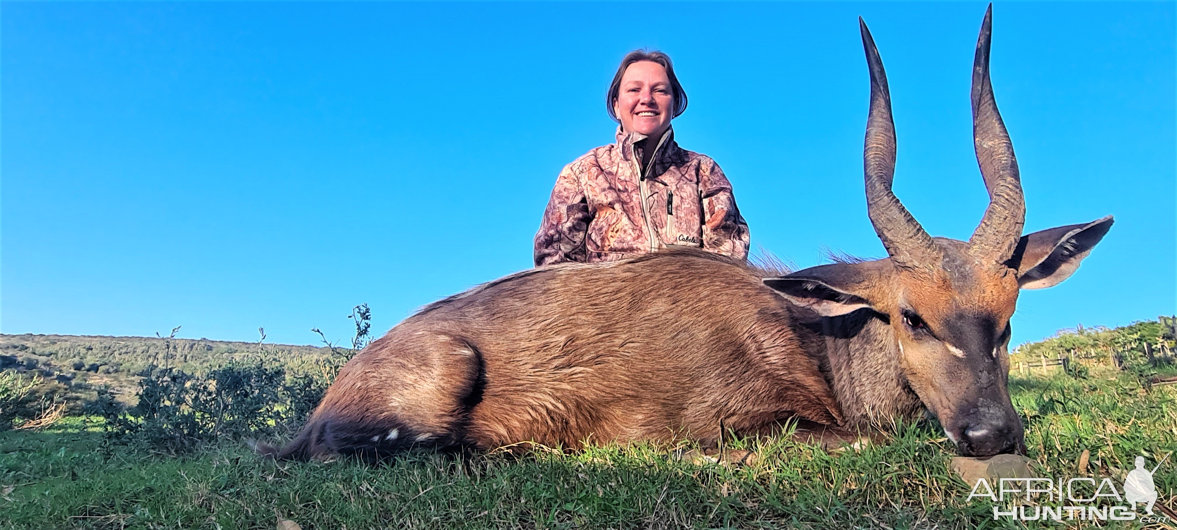 Hunting Bushbuck Eastern Cape South Africa