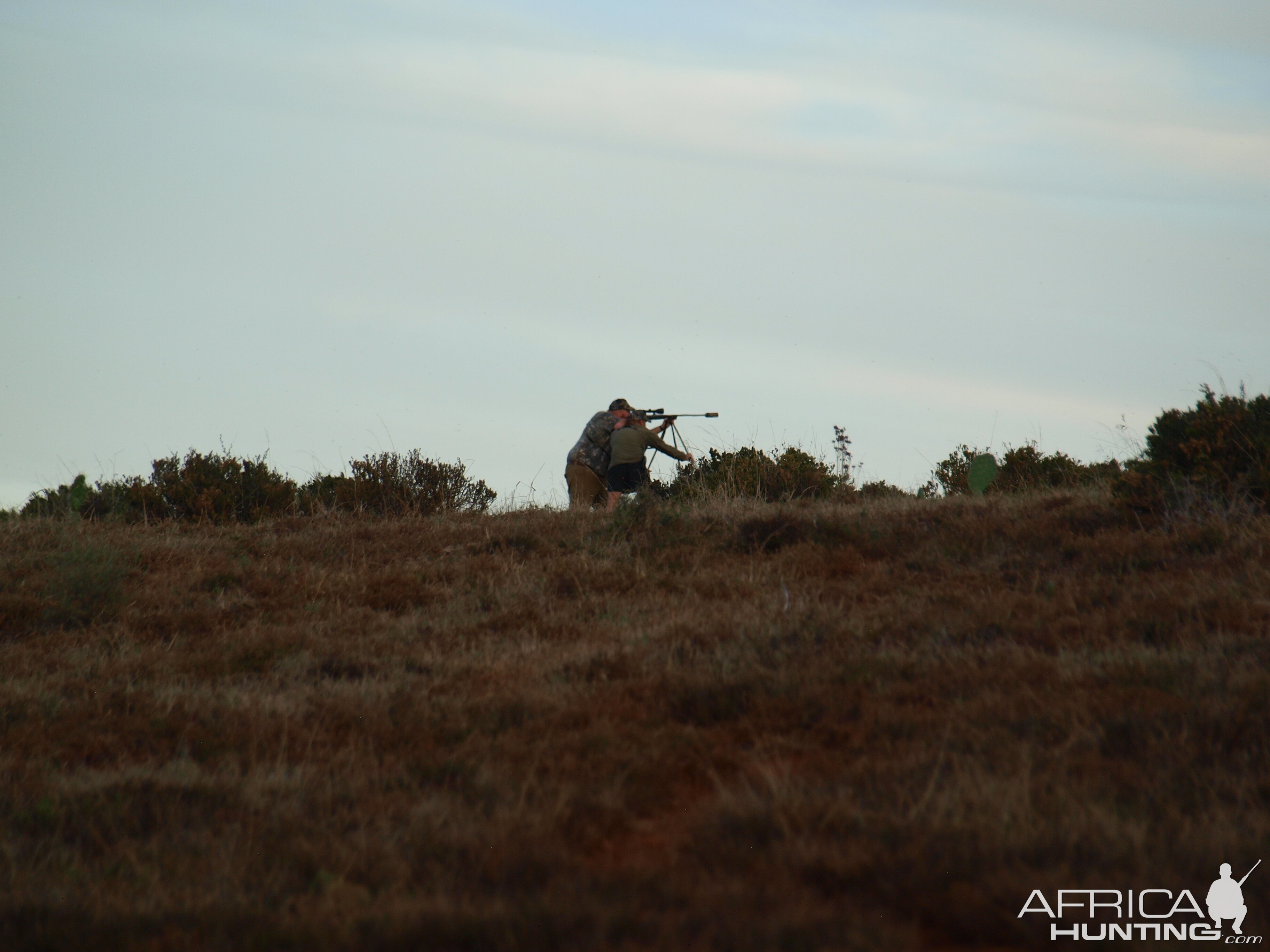 Hunting Bushbuck from Shooting Stick