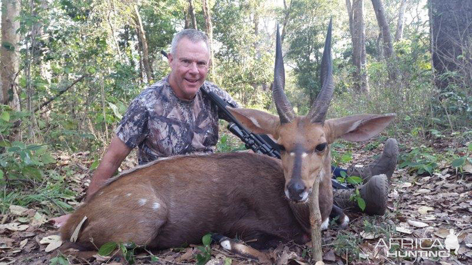 Hunting Bushbuck in Mozambique