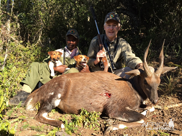 Hunting Bushbuck in South Africa