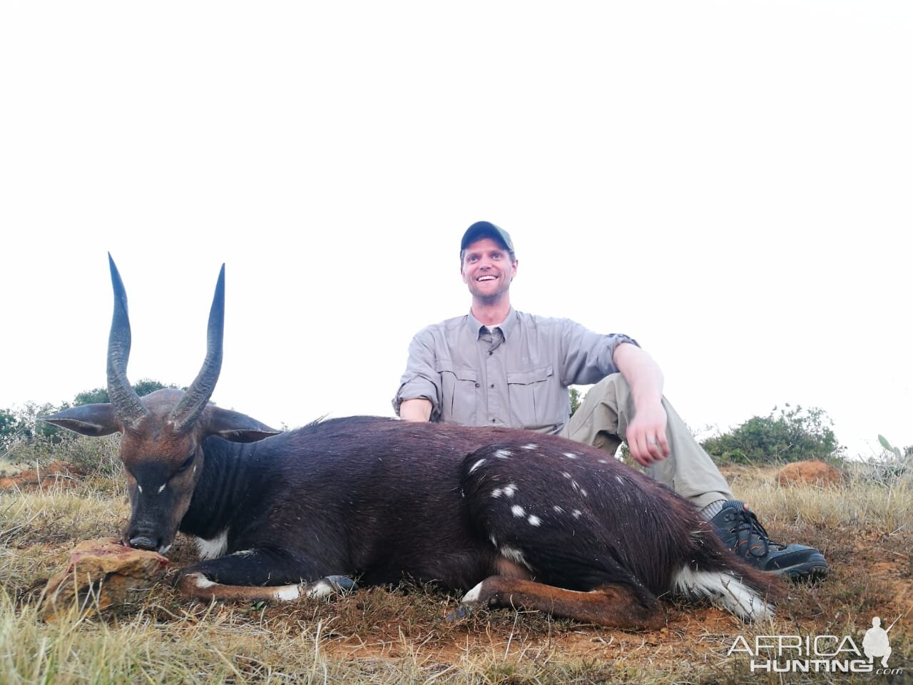 Hunting Bushbuck in South Africa