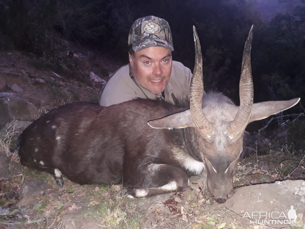 Hunting Bushbuck in South Africa