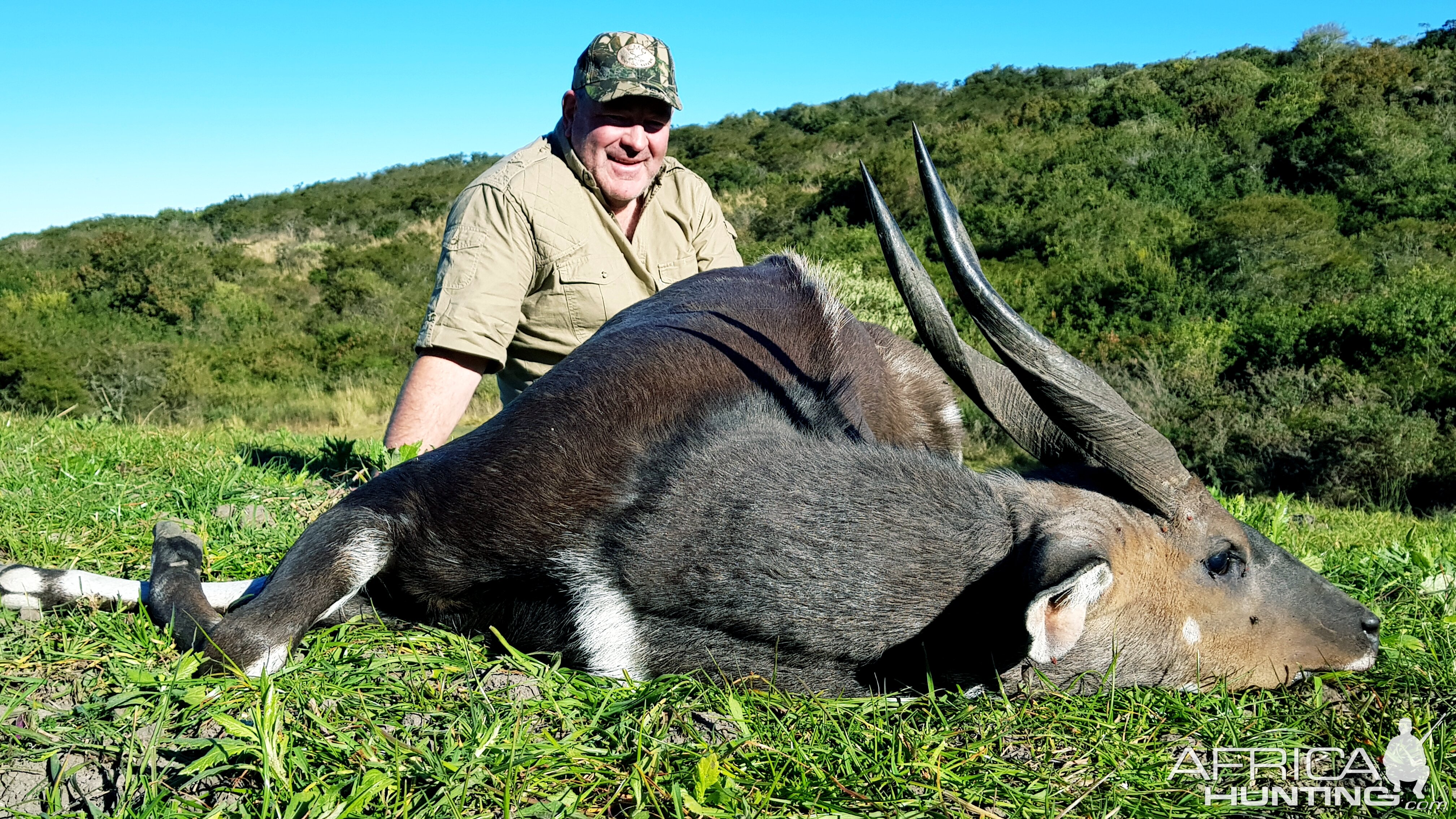 Hunting Bushbuck in South Africa