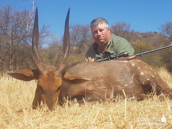 Hunting Bushbuck in South Africa