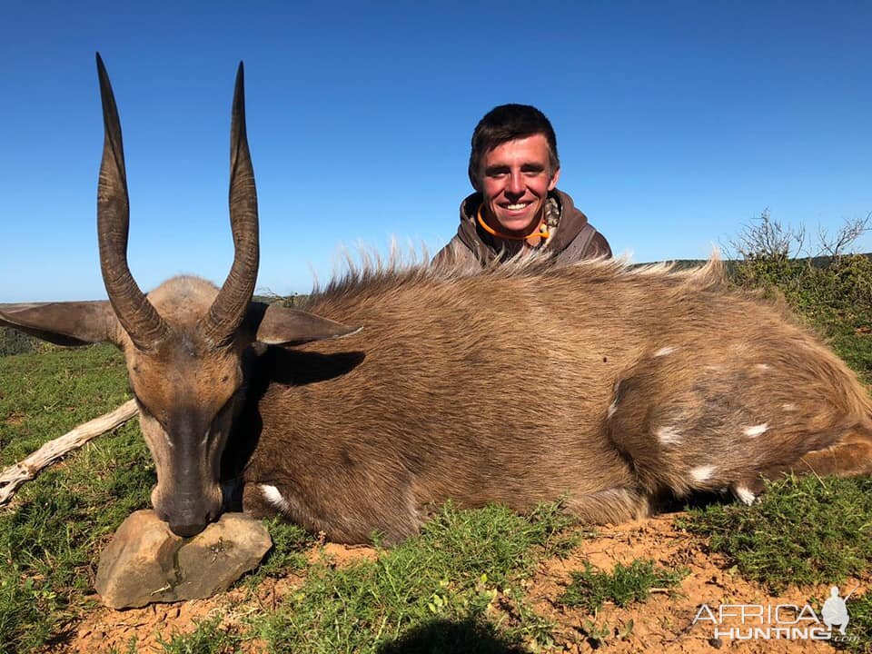 Hunting Bushbuck in South Africa