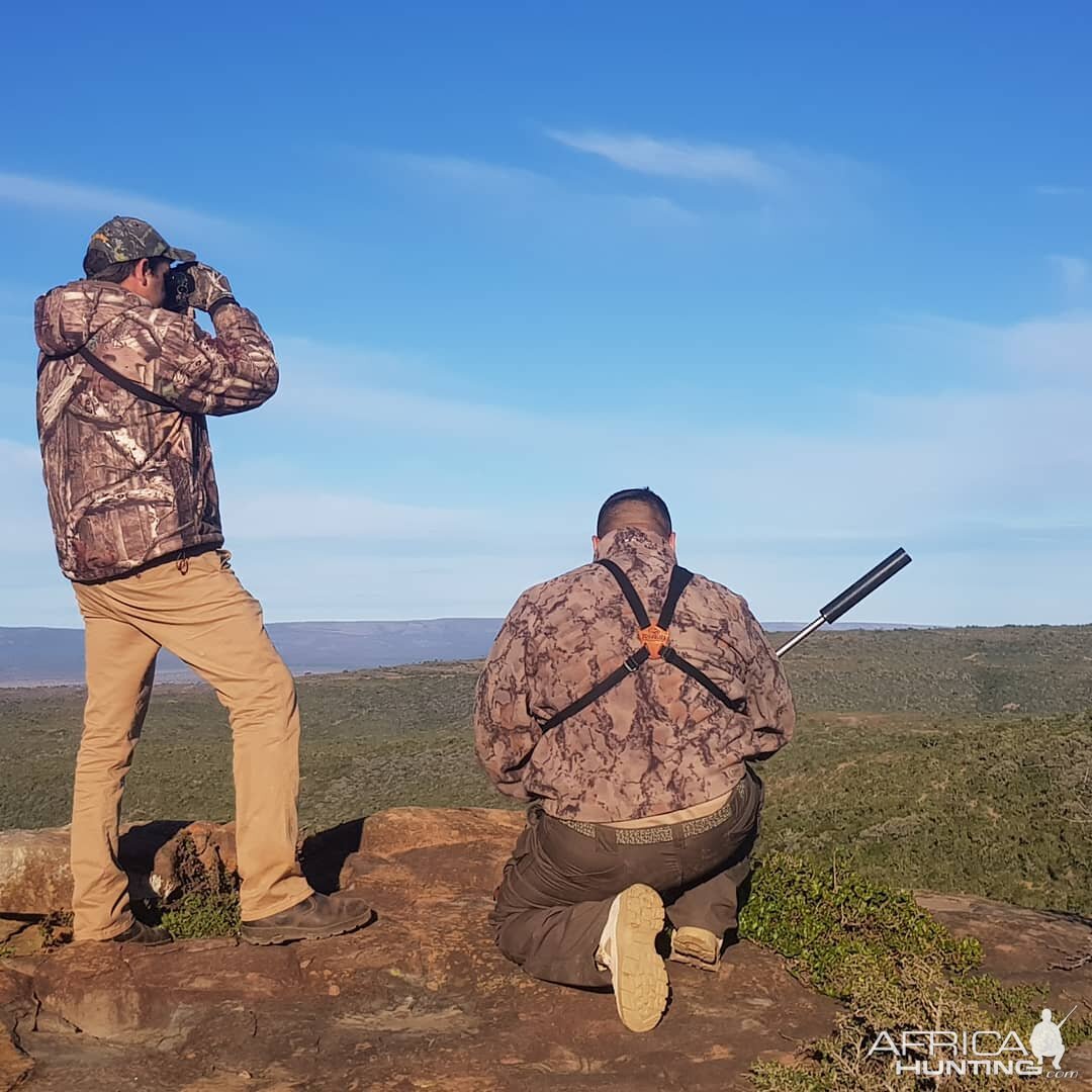 Hunting Bushbuck in South Africa